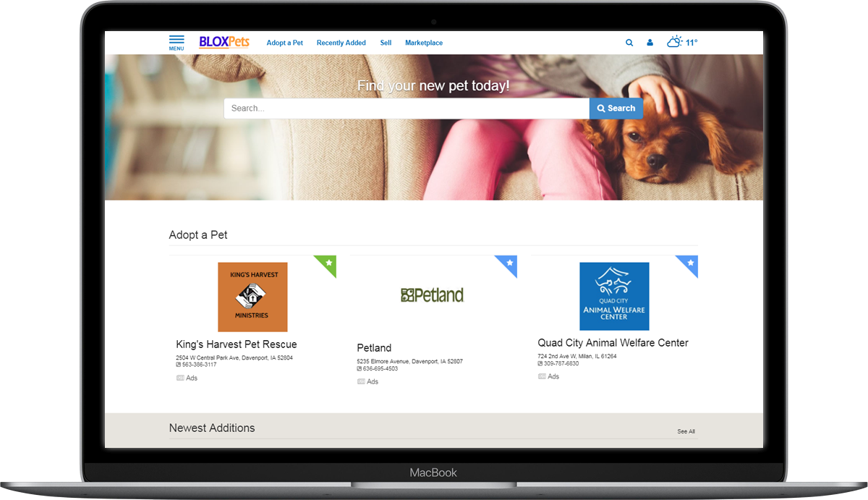 BLOX Pets guide graphic