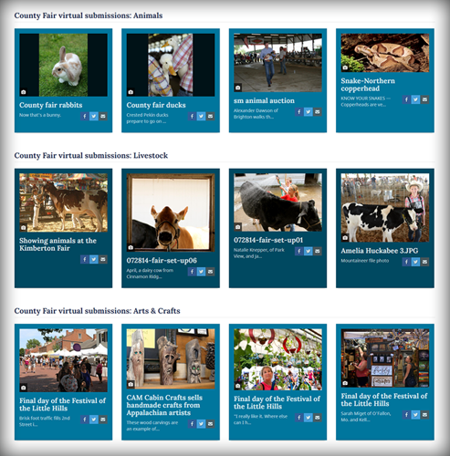 Screenshot: Virtual Fair categories