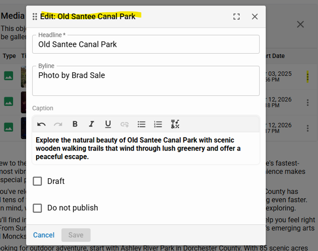 Quick Edit Single Items in Media Gallery.png