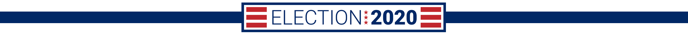 Election 2020 Mini Banner