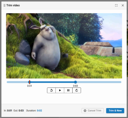 Video Asset Trim and Copy