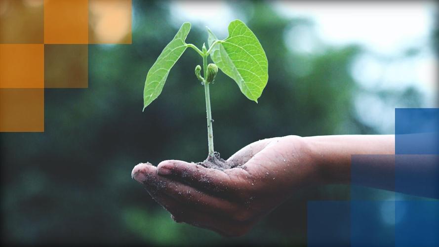 grow reader revenue-01.png