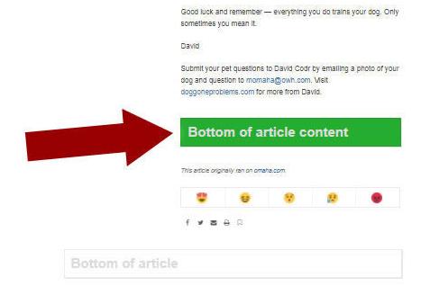 bottom_of_article_body.jpg