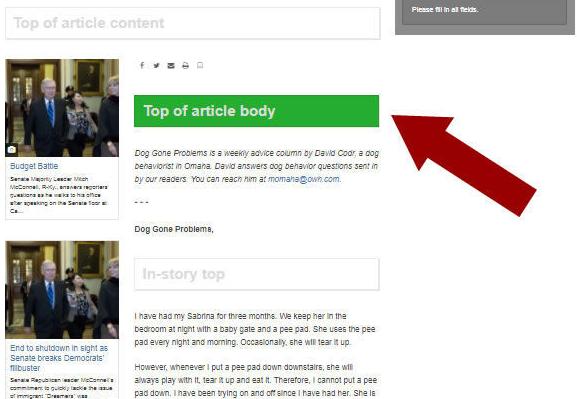 top_of_article_body.jpg