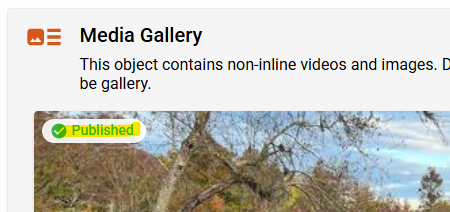 Asset Status in Media Gallery Preview.png