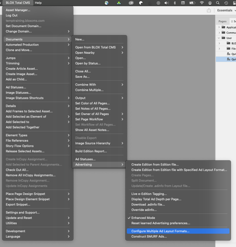 Accessing Configure Multiple Ad Layout Formats