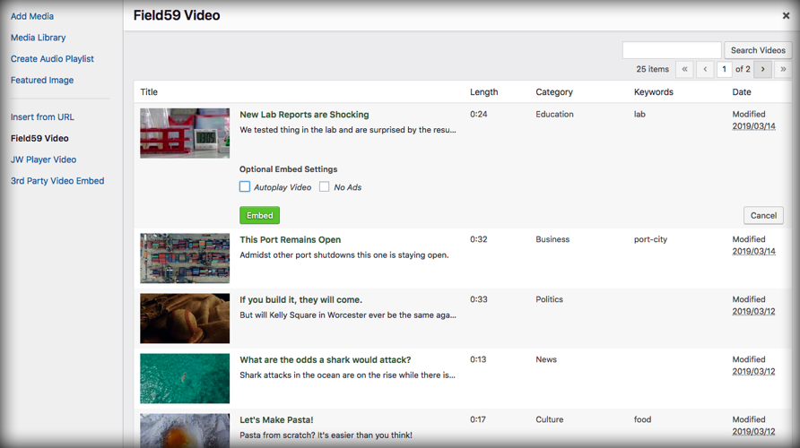 Seamless video integration