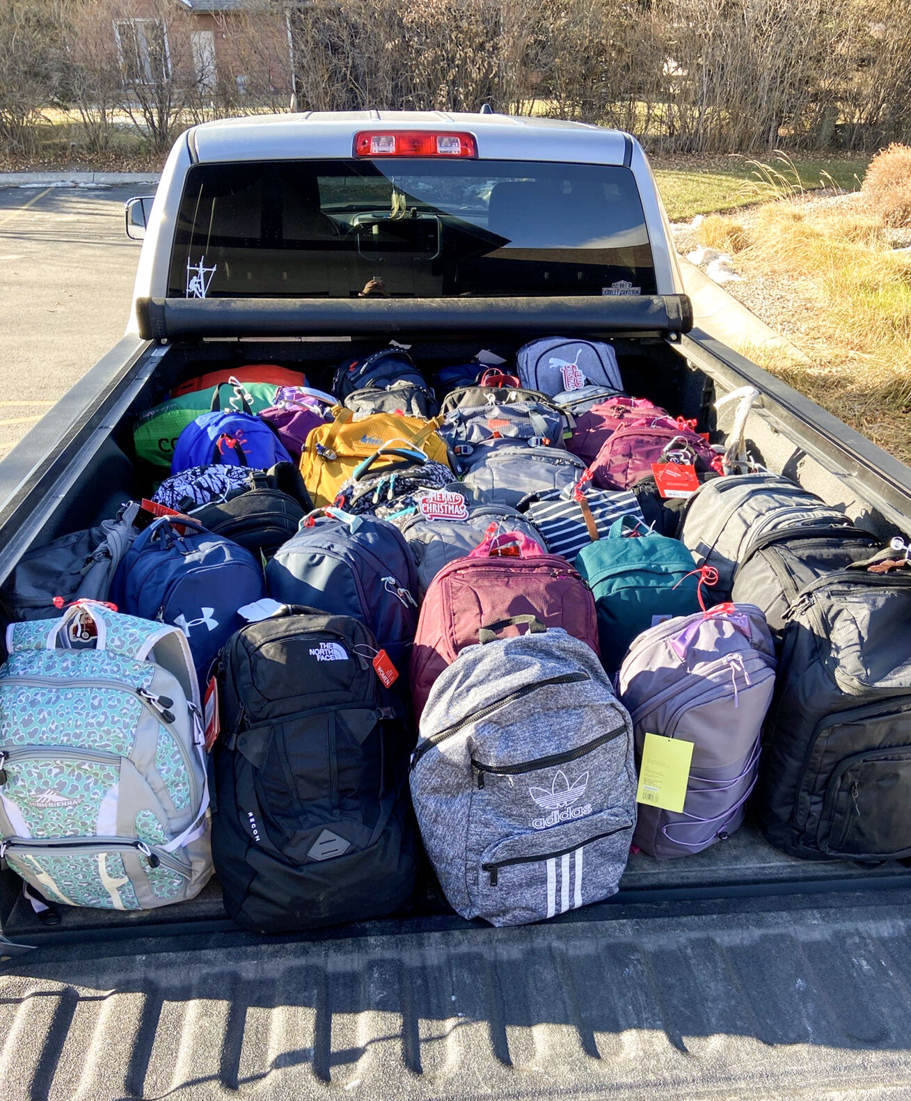 Roots backpack 2024 costco 2019