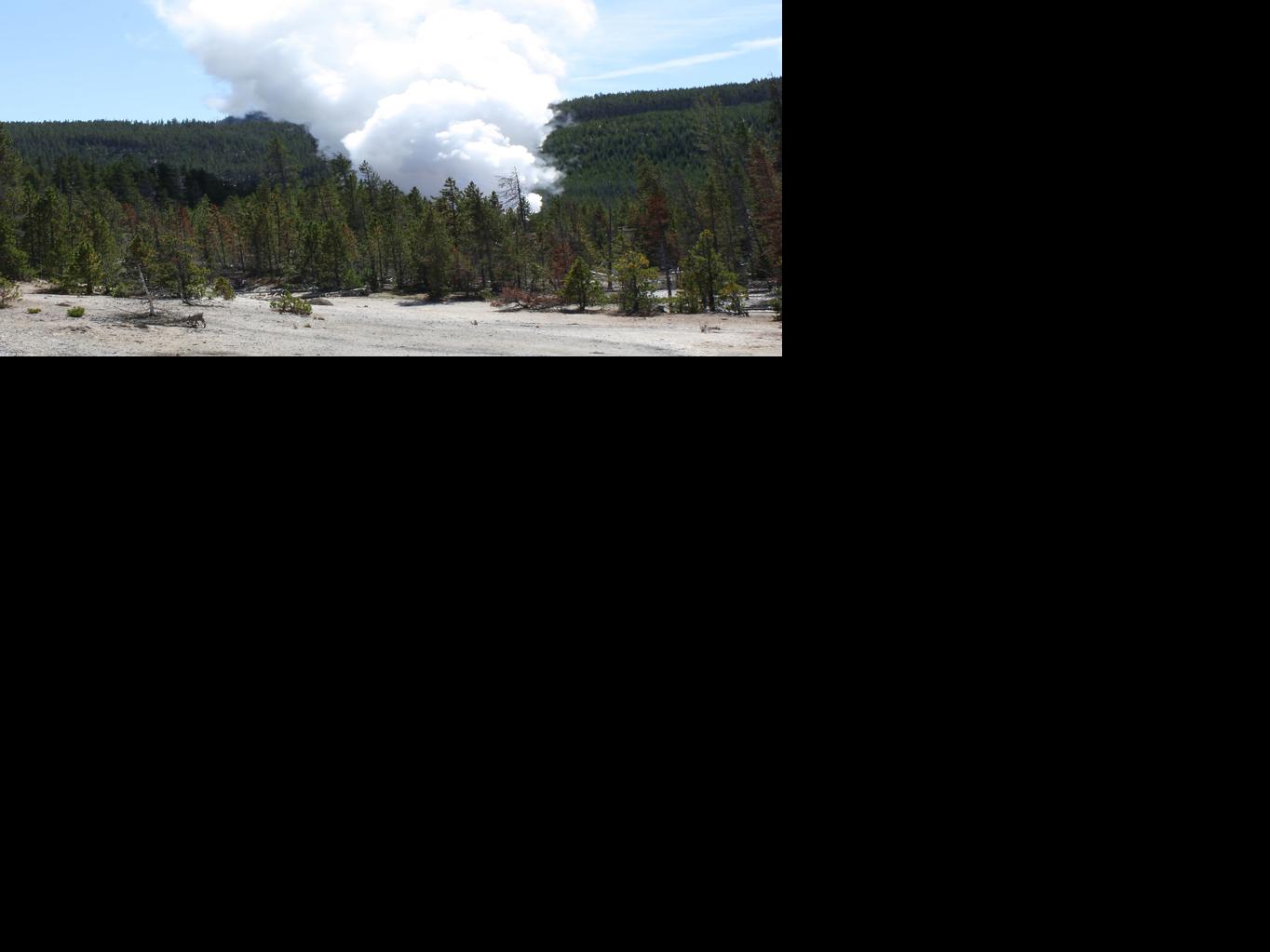 Distinctly Montana