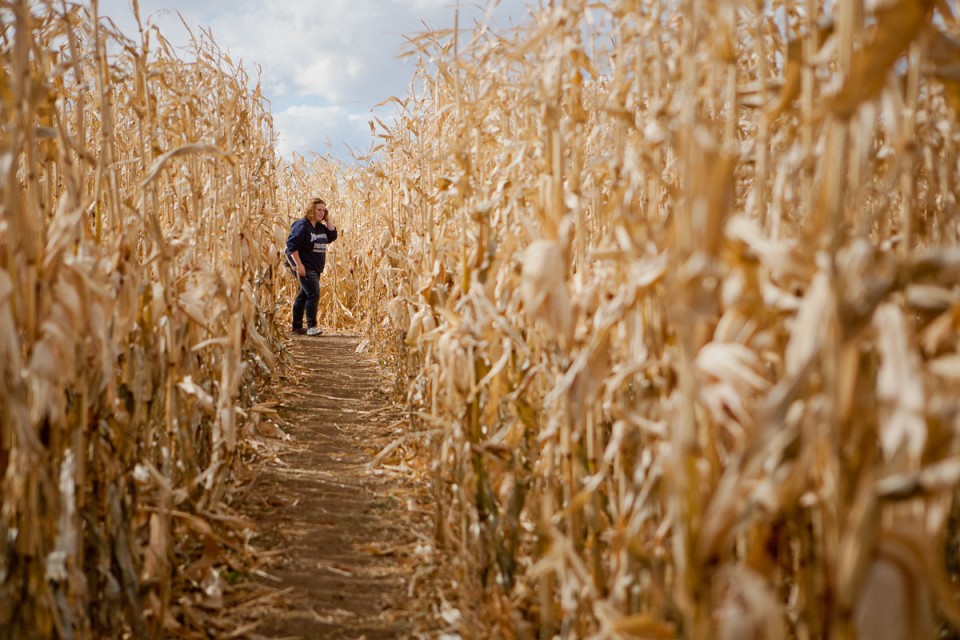 Churchill corn maze wrapping up third season | News ...