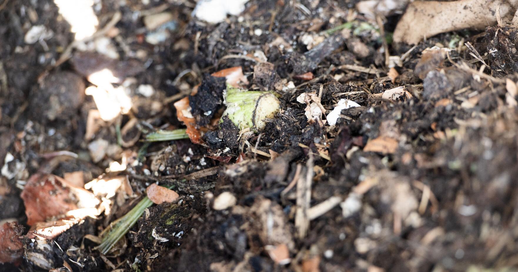County receives $400K for composting and food diversion - Vimarsana News