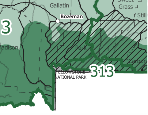 Yellowstone superintendent seeks hunting relief for wolves after ...