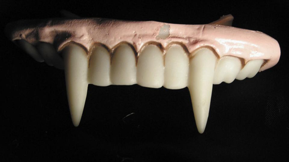 Word of the Week: Newfangled, Seize the new with a term related to fangs