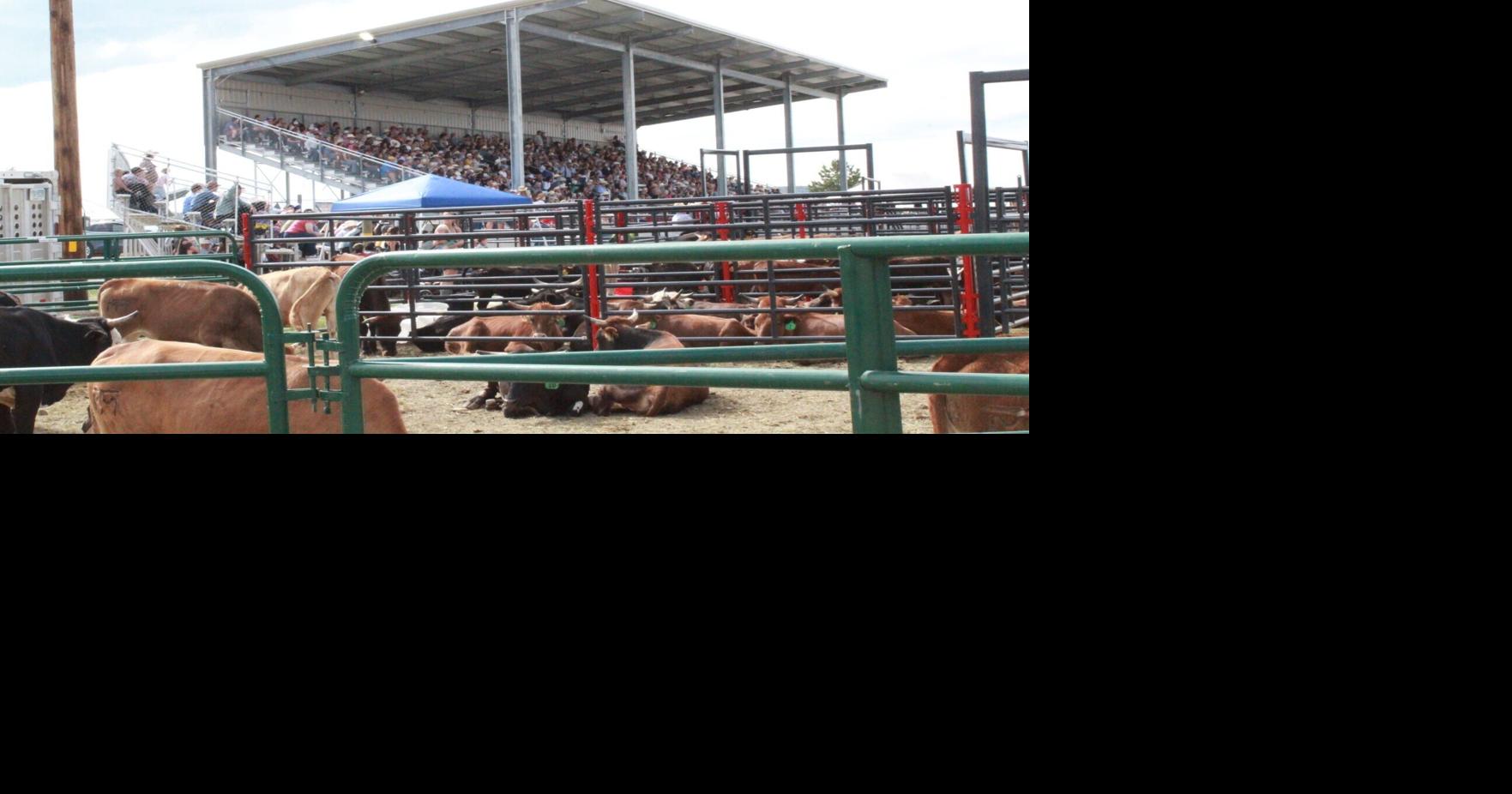 Preview of the CM Russell Stampede 2026