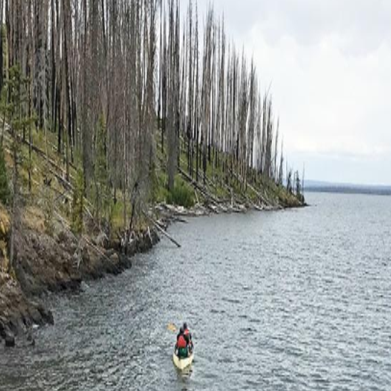 Boat Storage Lake Jordan Alabama Dandk Organizer