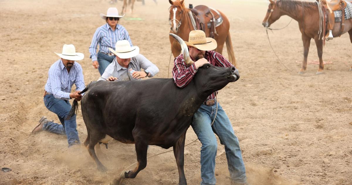 2026 Miles City Ranch Rodeo Results