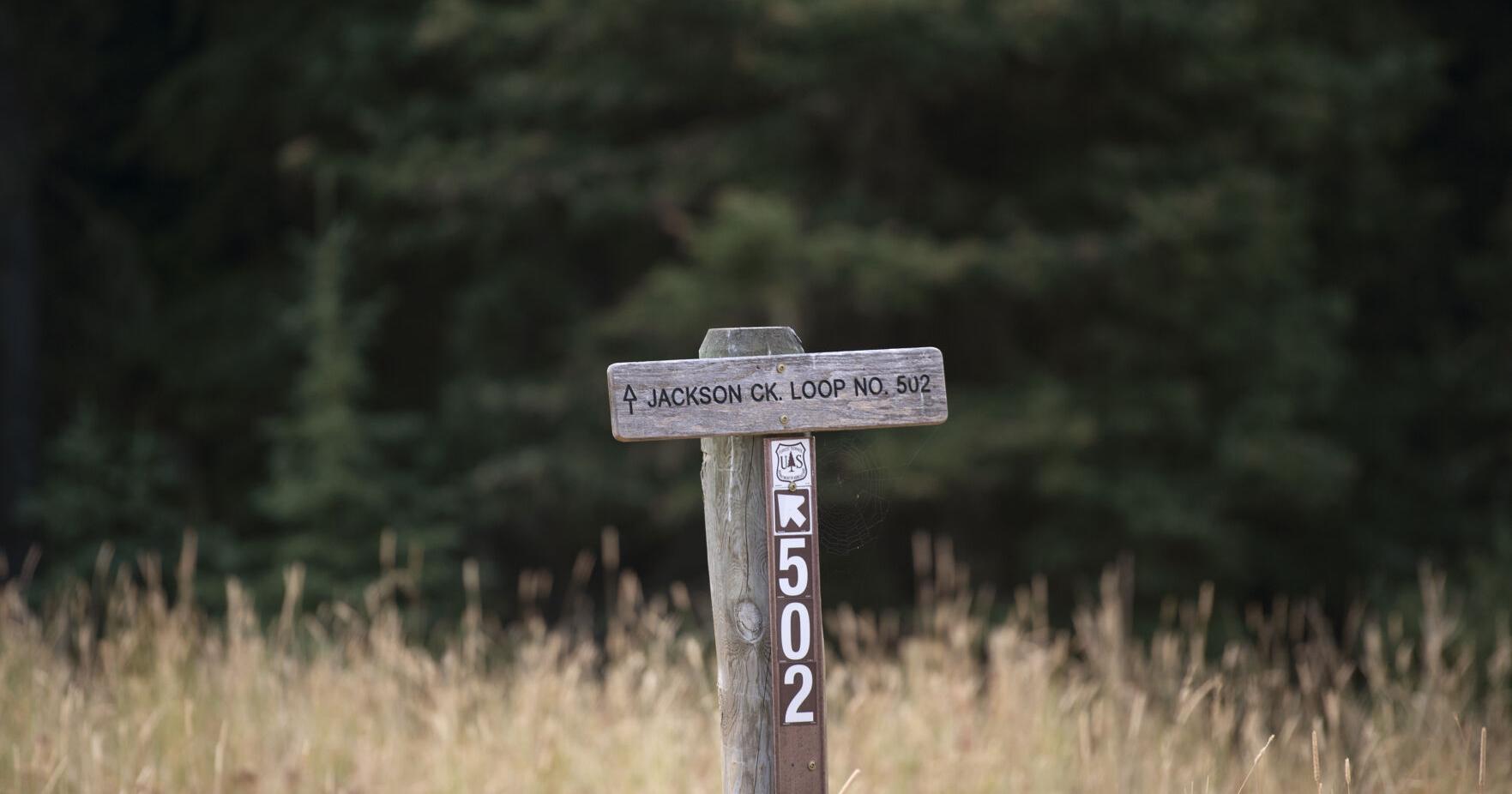 Forest Service improving three roads in Bozeman area this summer - Vimarsana News