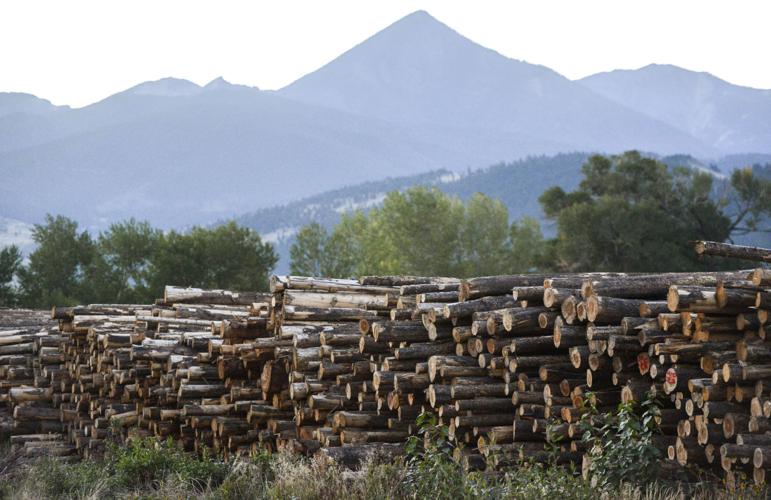 Logs to lumber in Livingston Photo Essays