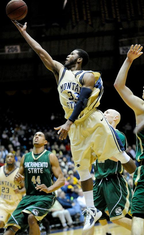 Msu Basketball Sports Bozemandailychronicle Com