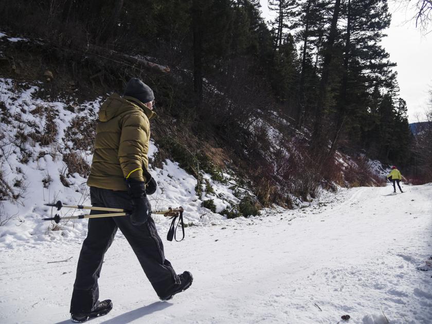 Environmental regulation firm appeals selection on southwest Montana timber projects | Setting Environmental regulation firm appeals selection on southwest Montana timber projects | Setting