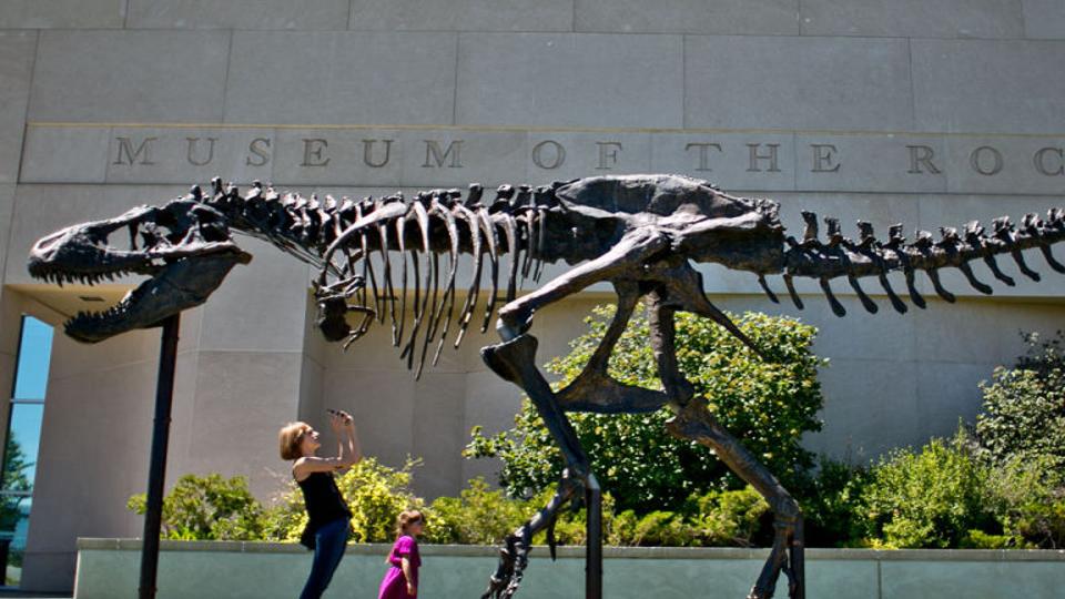 A New View of T. Rex  Smithsonian National Museum of Natural History