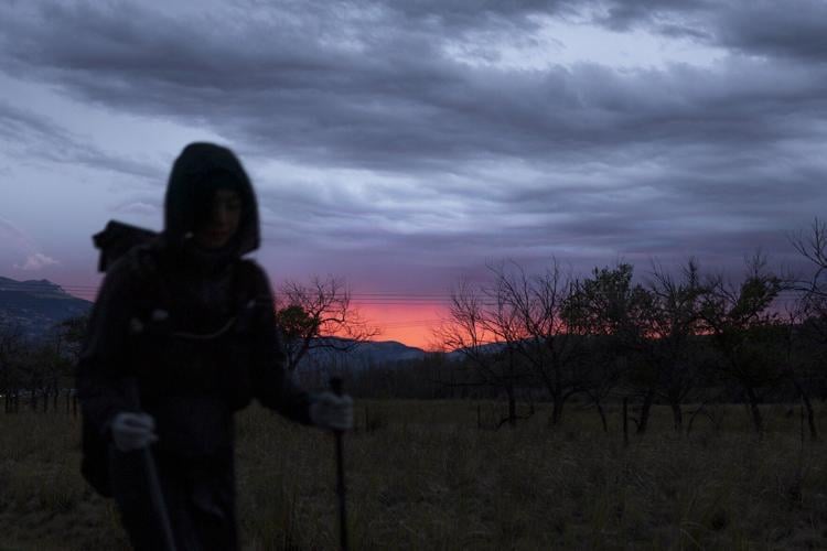 Meet the woman attempting to link the CDT and GDT News