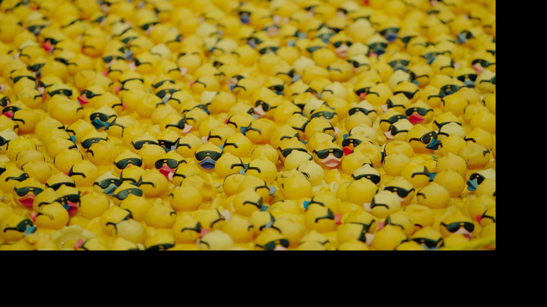 What are ya — yellow? The rubber duck carries filaments of American ...