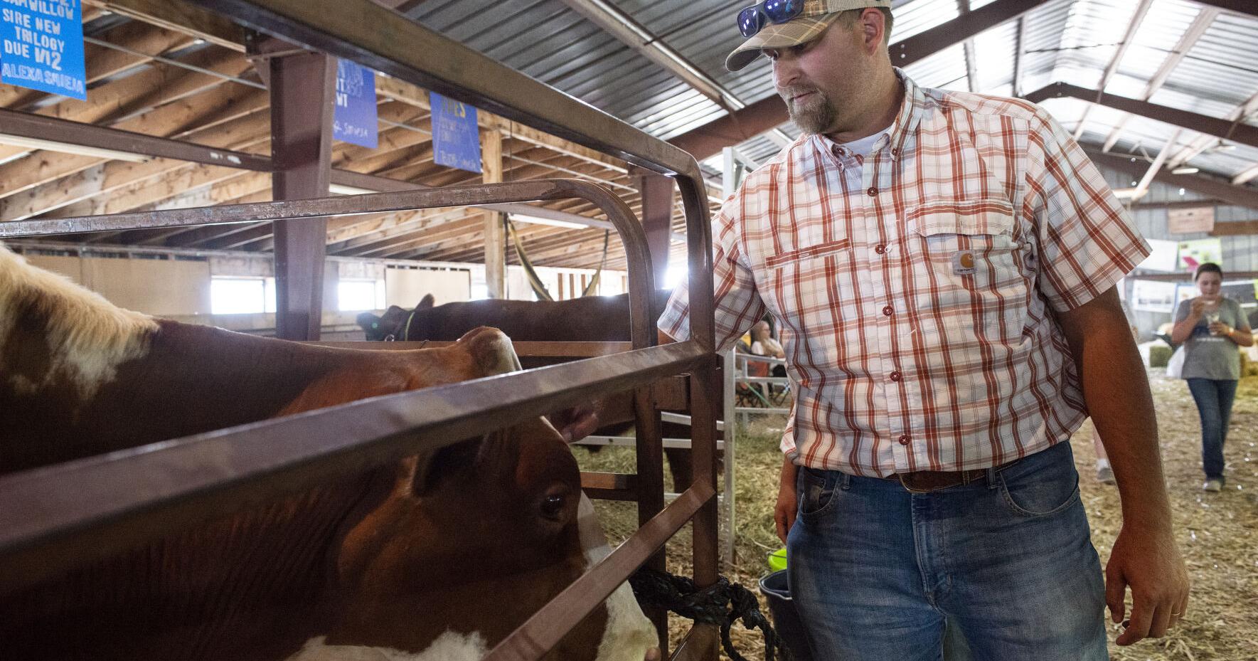 Montanans see veterinarian shortage, call for more training programs - Vimarsana News