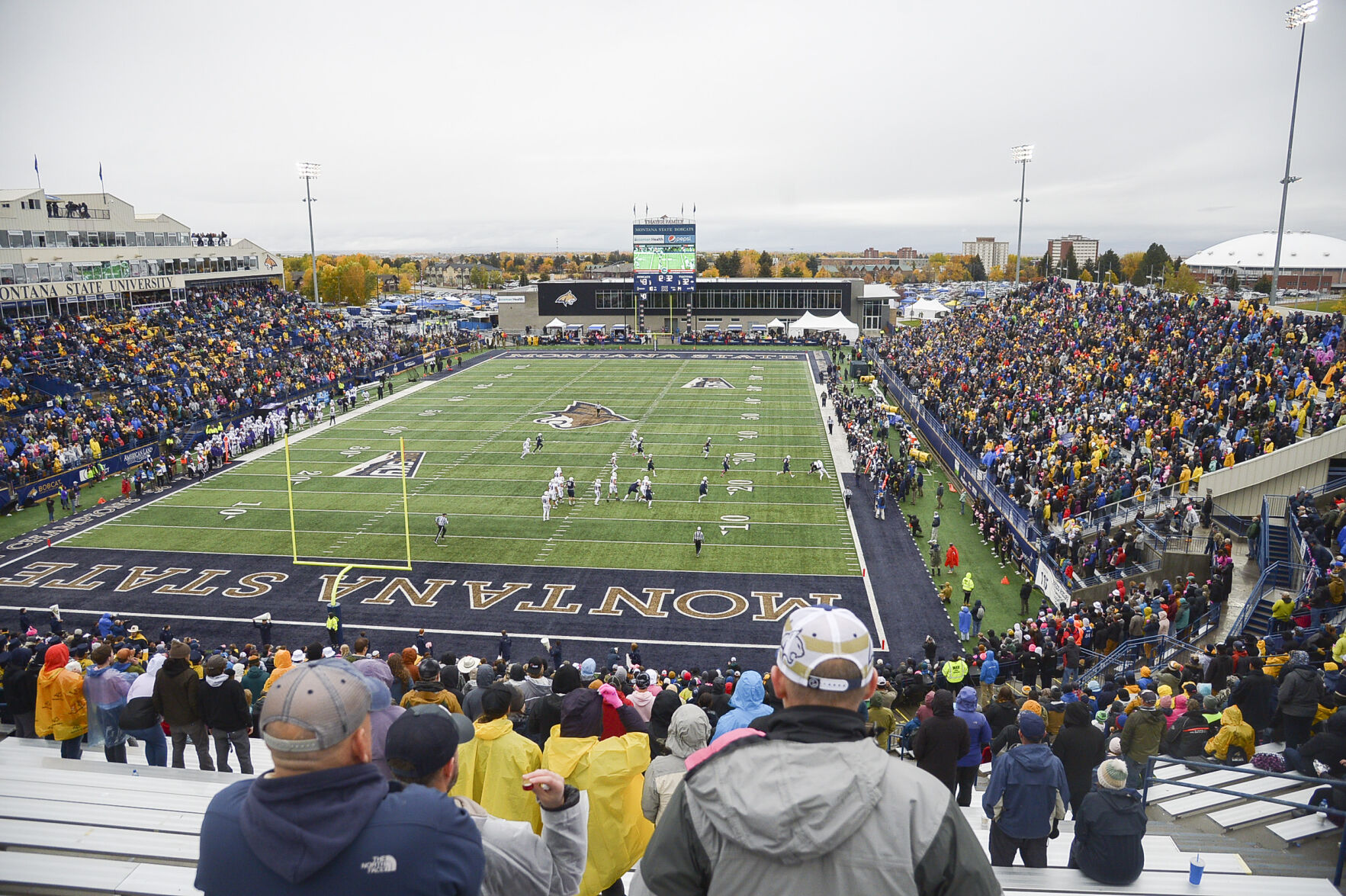 Watch, stream or listen to Montana State Bobcats football Television bozemandailychronicle
