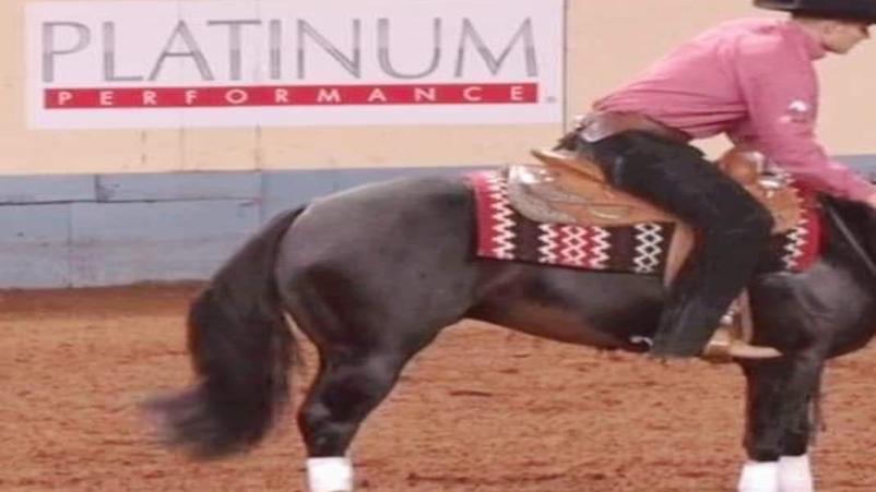 Nrha Futurity Championship 2022