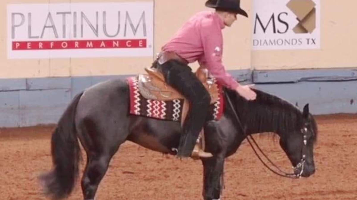 Horse Bred Locally Wins Nrha Level 4 Open Futurity Championship Sports Bozemandailychronicle Com Nrha Futurity Championship 2022