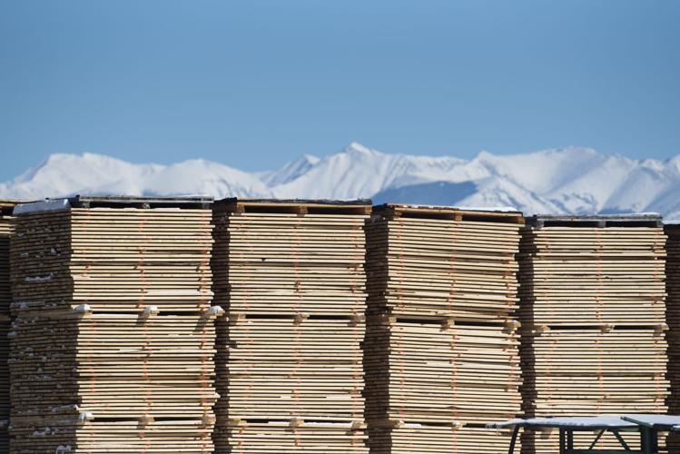Livingston, lumber industry brace for impacts of RY Timber closure News