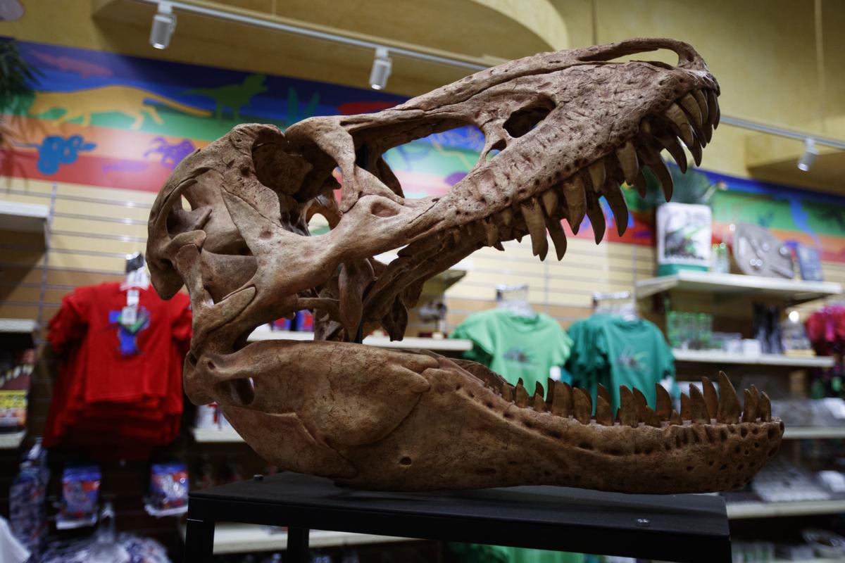 t rex at the smithsonian