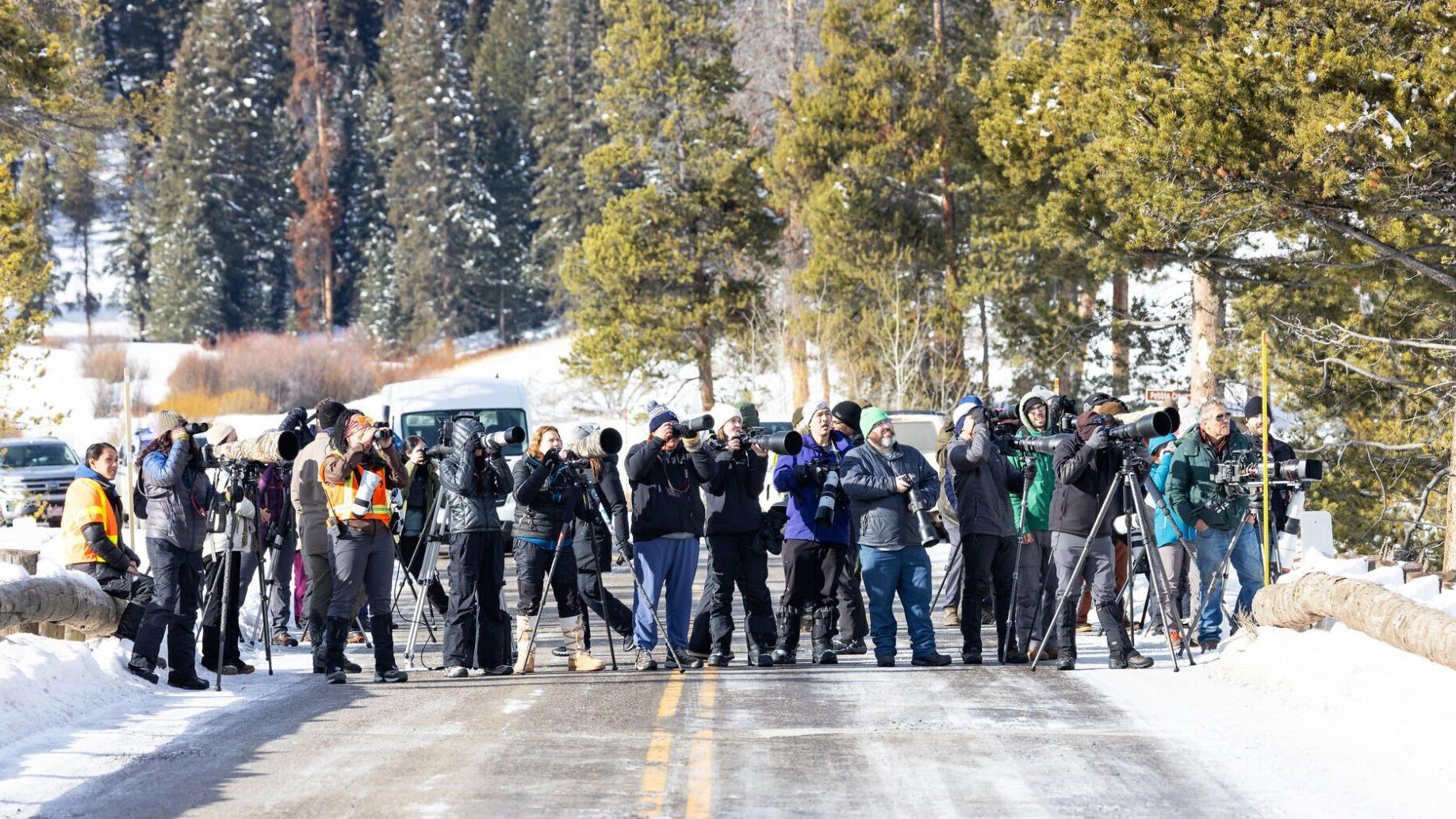 Bill to extend Montana wolf hunting season voted down