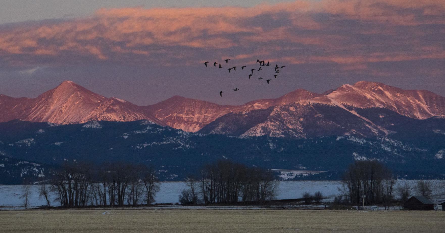 Pathways to clarity: Whether 'corner-crossing' will or won't be legal in Montana is an ongoing and complex question | Environment - Vimarsana News