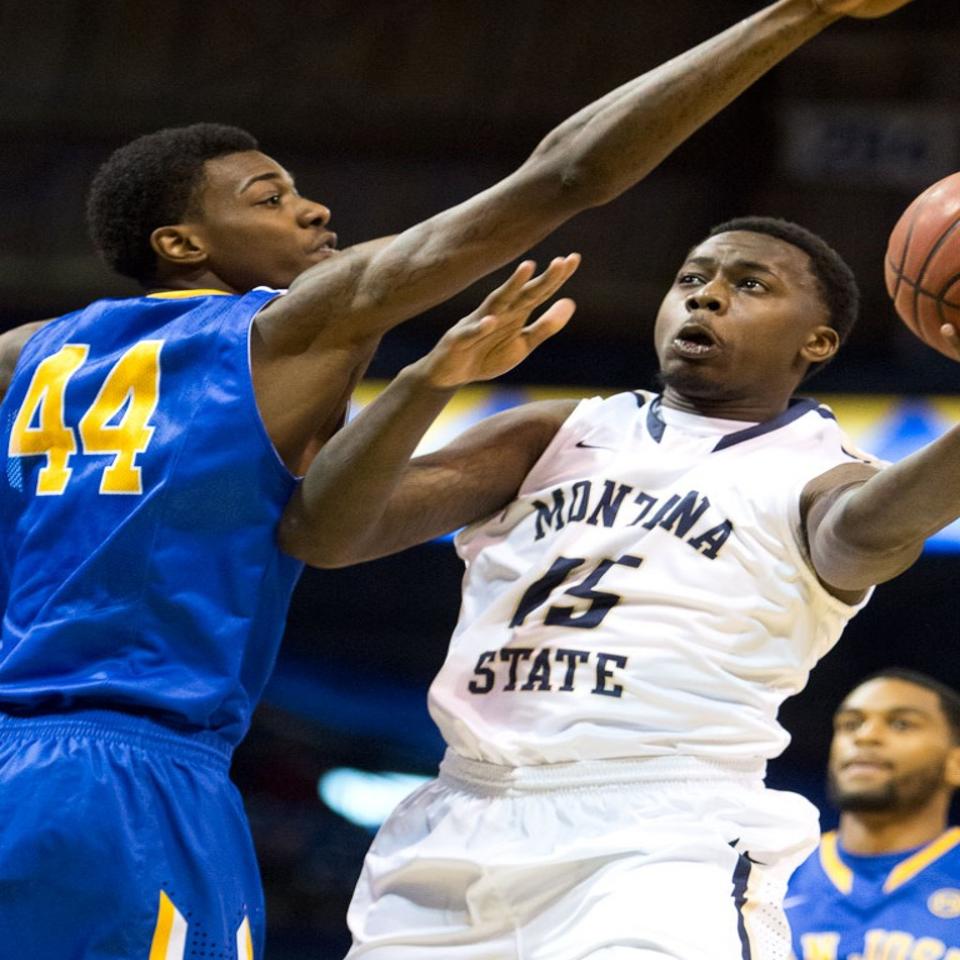 Cold Shooting Cats Fall To San Jose State Bobcats Men S