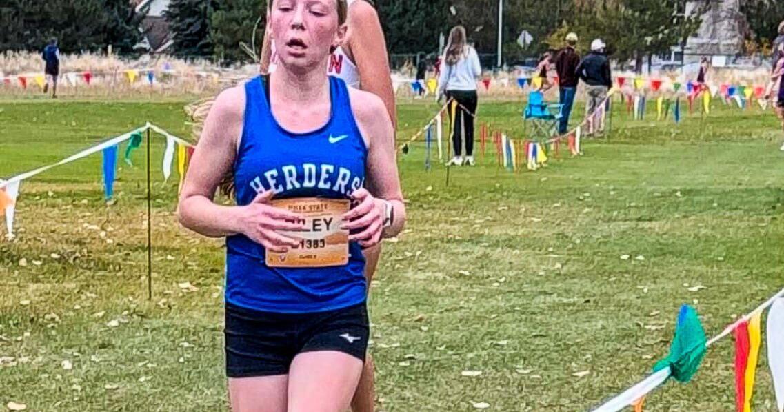 XC Girls take sixth at state