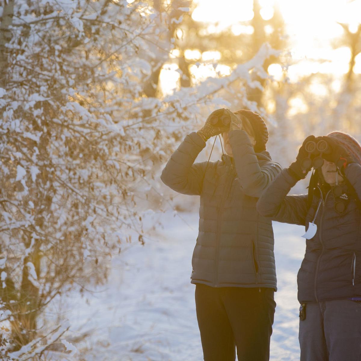 Snowbirding: Sacajawea Audubon Society