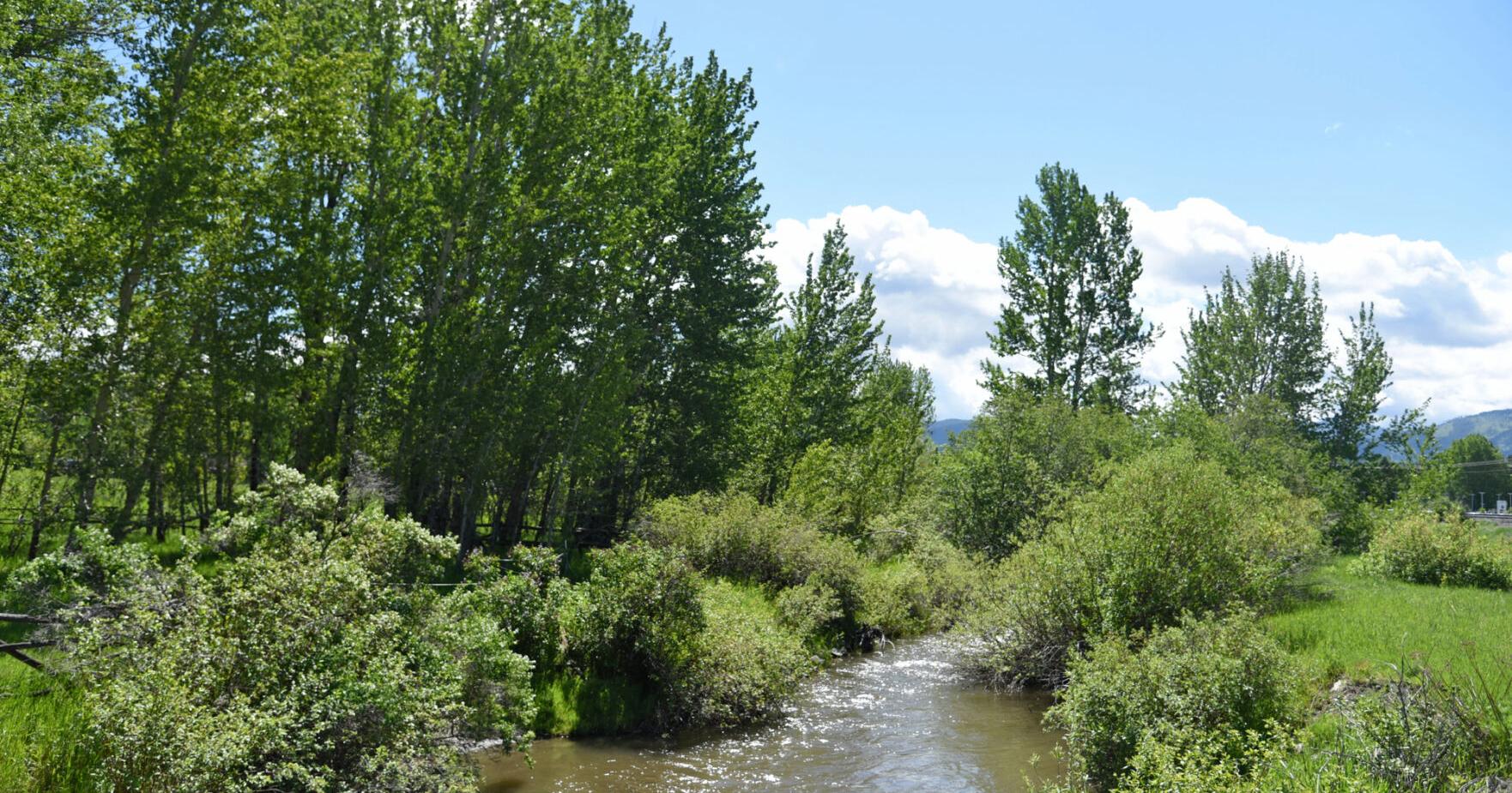 'Closer to normal': Snow and rain in May helps bolster water supply around the region - Vimarsana News
