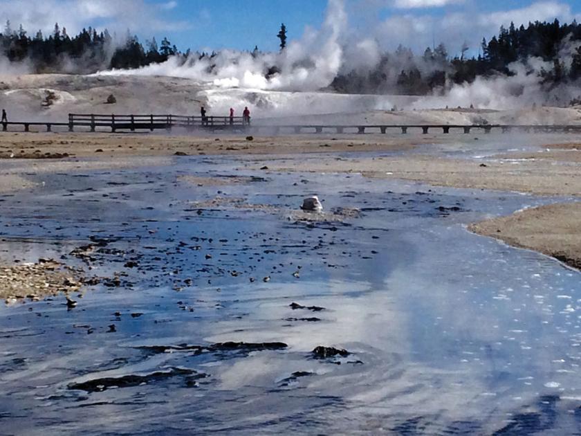 Man dies after falling into Norris Geyser Basin hot spring ...