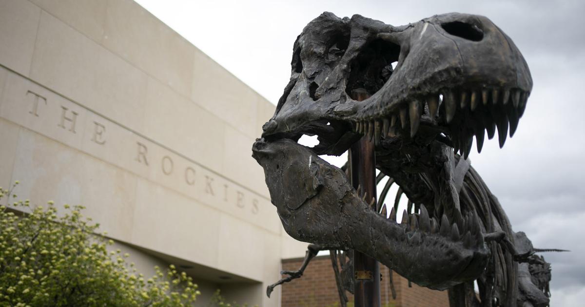 Christopher Dobbs is leaving his position as head of the Museum of the Rockies to lead a new organization in New York. His departure follows nearly a decade of service at the Montana institution.