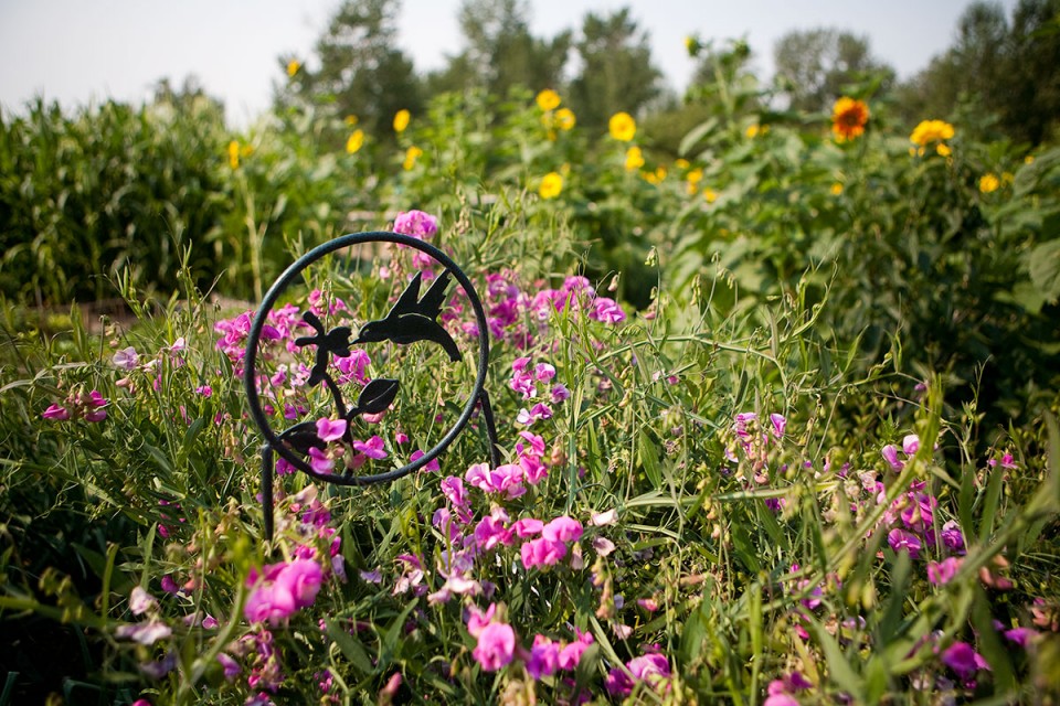 Emerson Center garden tour growing funds for art and culture