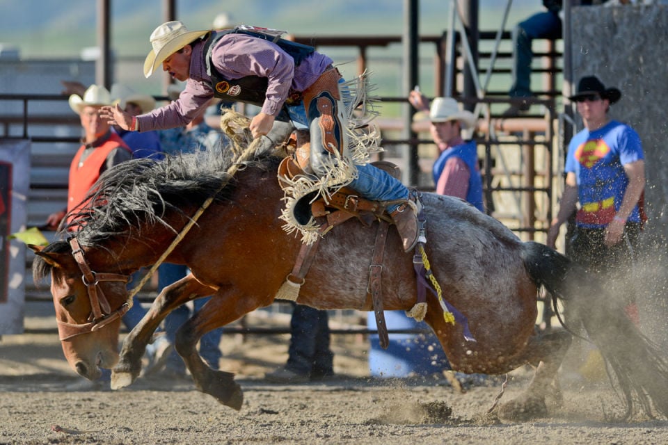 2013 State Rodeo Tournament | Sports | bozemandailychronicle.com