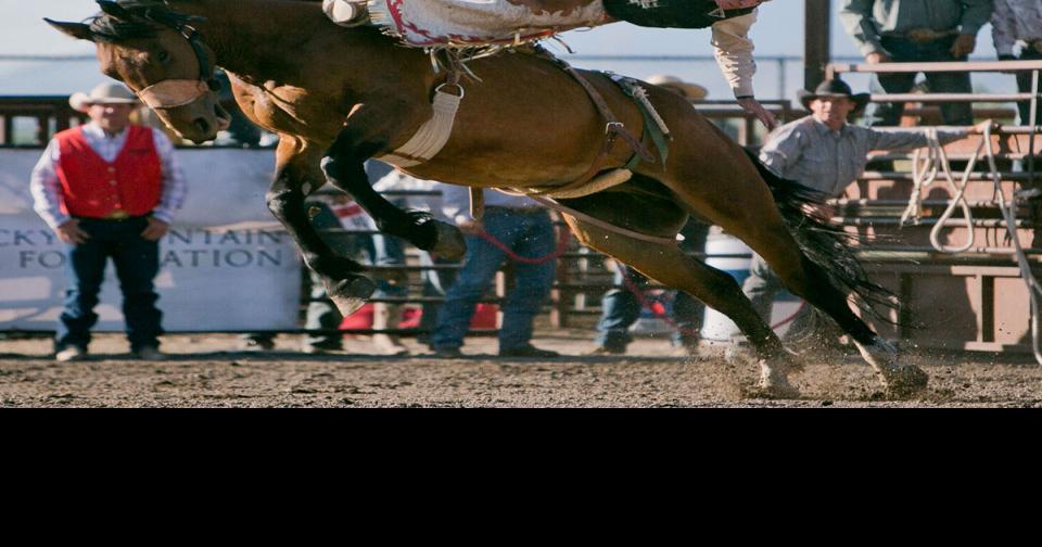 Montana High School Rodeo State Tournament Sports