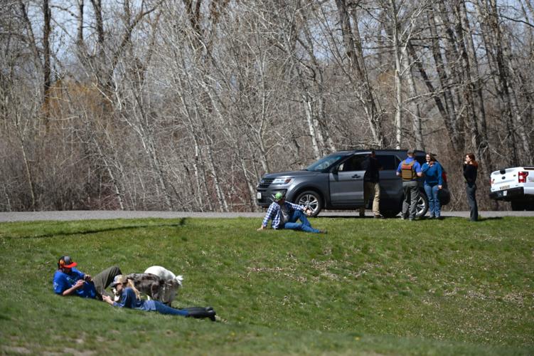 Four Corners standoff ends after suspect shoots, injures self Crime