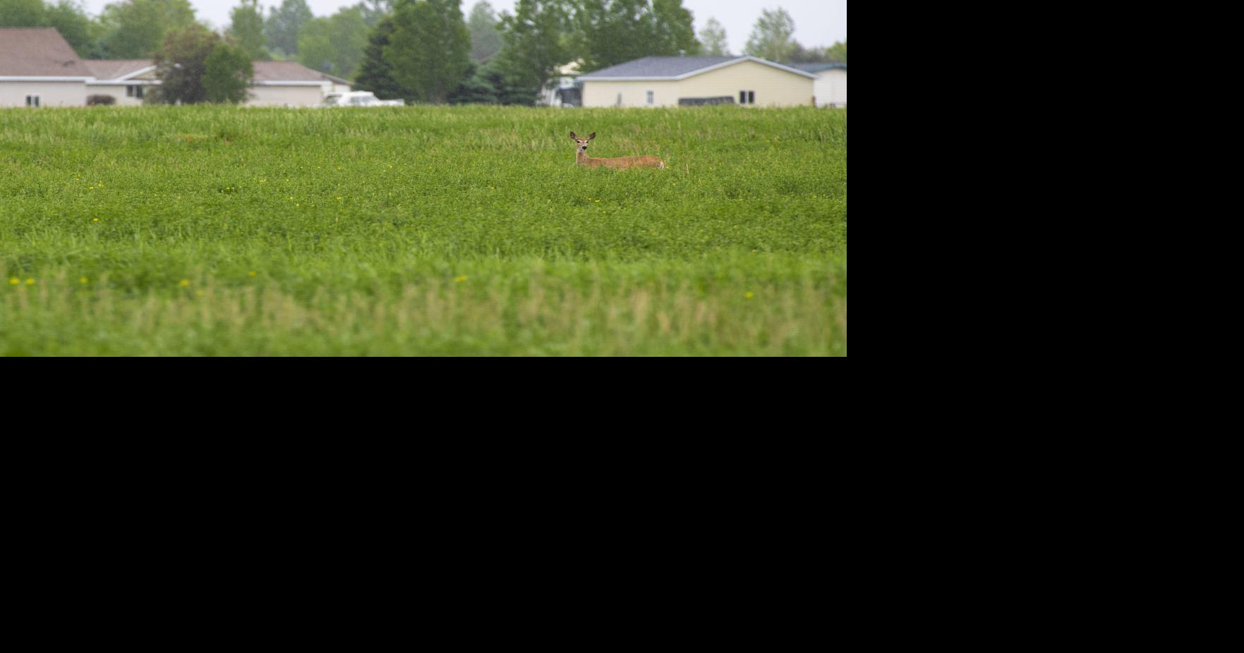 Belgrade adopts zoning regulations, stops proposed gravel mine News