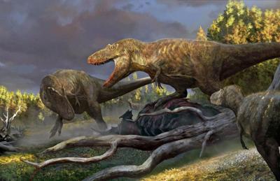 Closest relative of Tyrannosaurus rex discovered in New Mexico - Study Finds