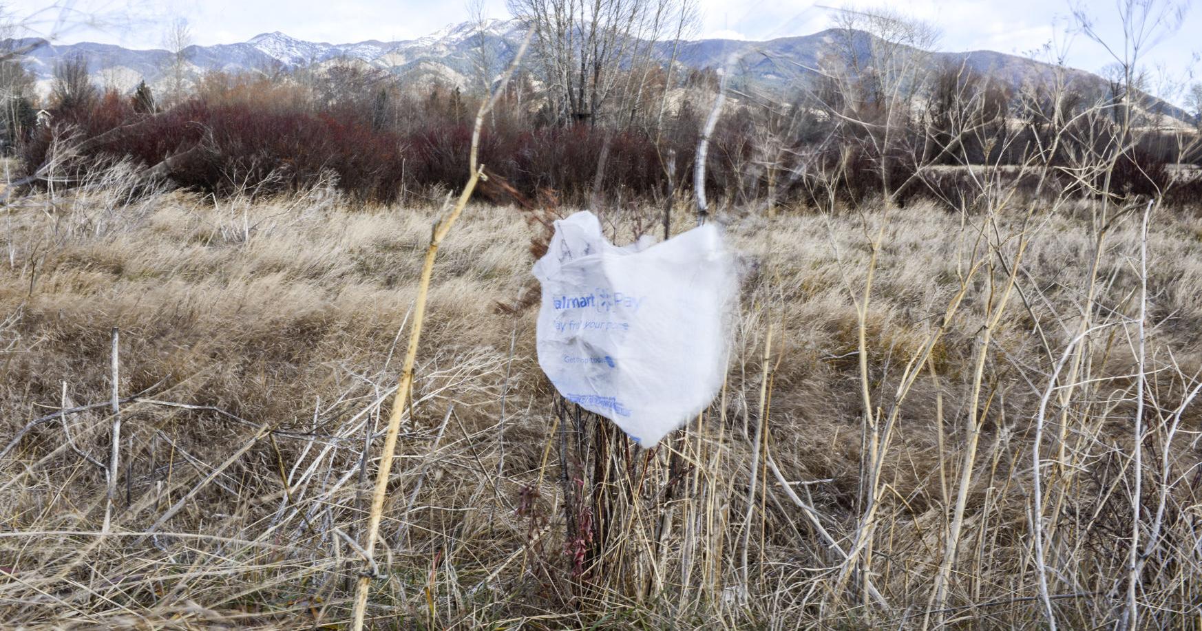 Bid to get single-use plastics ban on ballot in Bozeman underway - Vimarsana News