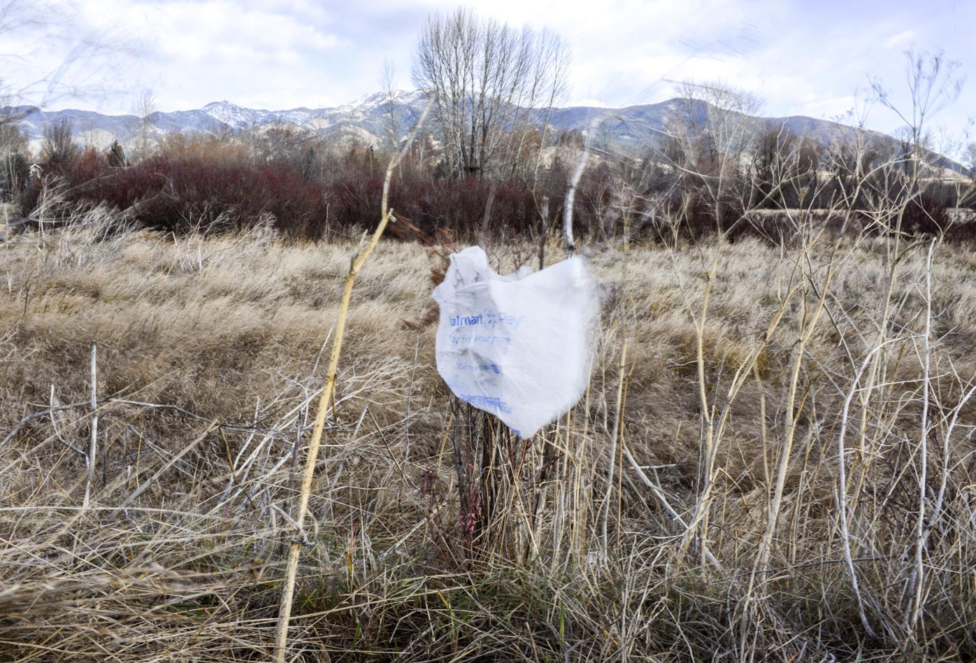Bozeman's single-use plastics ban fraught with questions | News |  bozemandailychronicle.com, image size:1396x948
