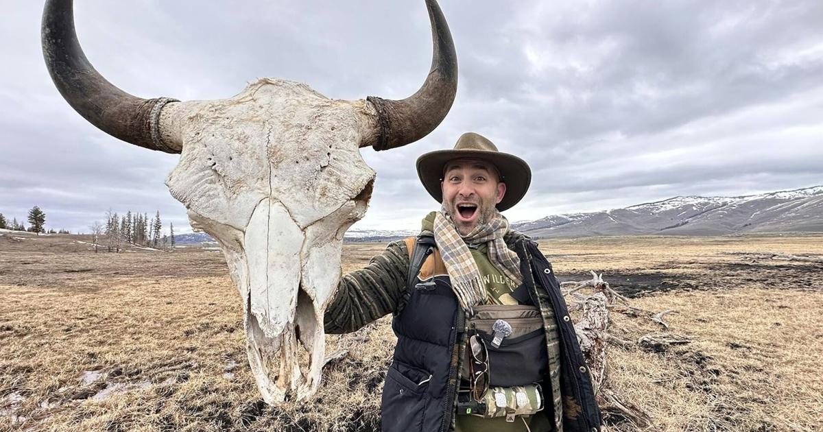 Yellowstone’s remote ‘animal boneyard’: Where elk, bison and other critters go to die
